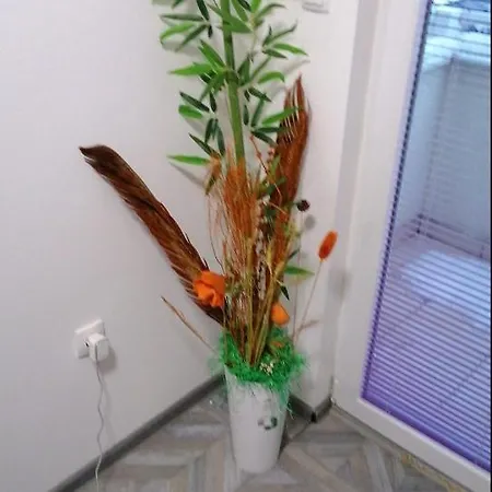 Your Home 贝尔格莱德 外观 照片