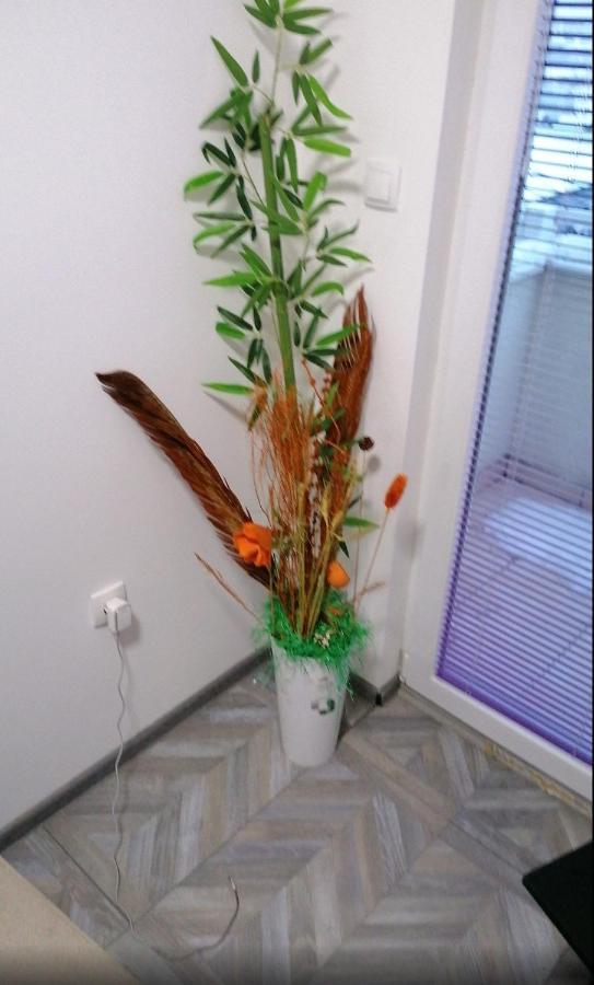 Apartman Your *